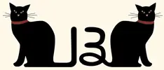 13th.webp