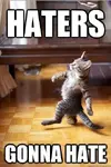 Kitty-Acts-Like-A-Boss-Haters-Gonna-Hate-Meme.webp
