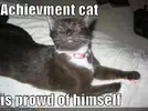 funny-pictures-proud-cat.webp