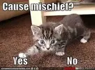 gdsghsdgsagsdgsdgsd.webp