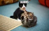 12226356_1668345340080081_716412113_n.webp