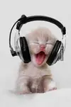 tettt343423.webp
