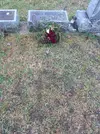 P1000230.webp