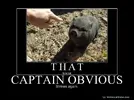 633800769542445665-CAPTAINOBVIOUS.webp 633800769542445665-CAPTAINOBVIOUS.webp