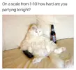FB_IMG_1483218851621.webp