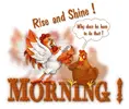 2d0e8f992ca45189d8a999fab40e9f82.webp