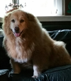 20150613_100729-1.webp