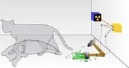 Schrodingers_cat.svg.webp