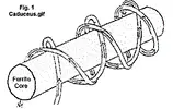 caduceus.webp