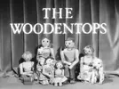 WOODEN TOPS.webp