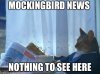 mockingbird news.jpg