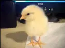8569