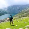 Himalayan Hermit